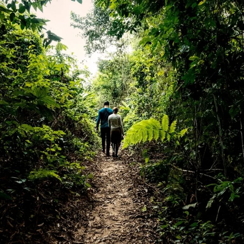 Explore Amaz�nia 5 dias 4 noites